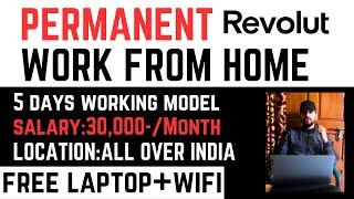 Revolut Permanent Work From Home Jobs 2024