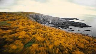 Yellow • Cinematic FPV Drone footage [HD]