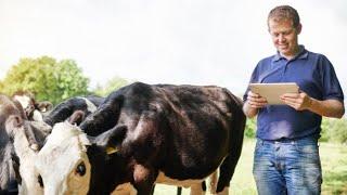 The Future of Livestock : Economic Trends You Need to Know