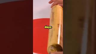 what's the best meal you've ever eaten#reddit#redditstorytime
