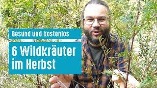 Gesund und kostenlos: diese 6 Wildkräuter sammelst du im Herbst (+Anwendungen)