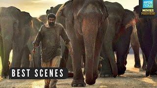 जब हाथियों को गुस्सा आता है  | Haathi Mere Saathi Best Scenes |  Rana Daggubati,  Bhuvan Arora