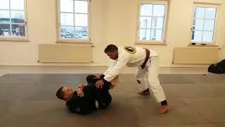 Brazilian Jiu Jitsu White Belt Basic Movement