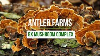 Antler Farms 8X Mushroom Complex - 8 Times Stronger Than the Rest, Real Mushrooms