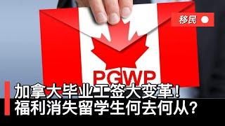 加拿大毕业工签大变革！疫情福利消失，留学生何去何从？PGWP政策调整！如何破解加拿大工签难题？专家深度解读