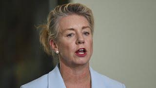 ‘Pretty concerning’: Labor Minister criticises Bridget McKenzie’s flight upgrades