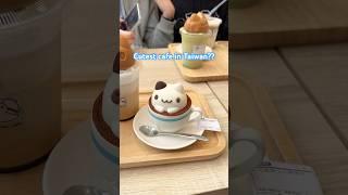 Foam Cat Cafe Taichung Taiwan #taichung #taiwantravel #taiwanfood