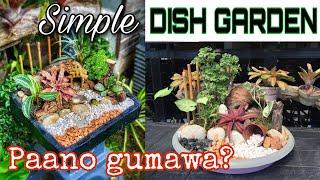 SIMPLE DISH GARDEN 2.0 (Paano Gumawa?) with tips for beginners