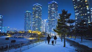 Beautiful Snow Night View Walk in Central Park, Songdo International City, Korea. 4K UHD 60fps