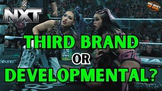 Is NXT the THIRD WWE Brand or is it DEVELOPMENTAL?