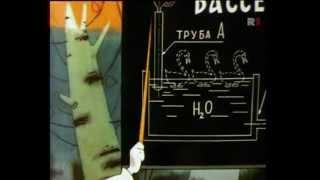 Вовка и Василисы Премудрые