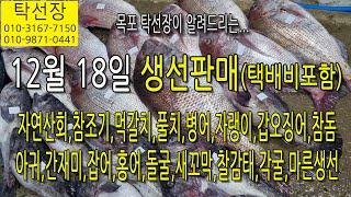 12월 18일, 자연산 회, 참조기, 먹갈치, 풀치, 병어, 자랭이, 갑오징어, 참돔, 아귀, 간재미,(탁선장 목포 남도농수산 010 3167 7150. 010 9871 0441)