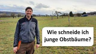 Wie schneide ich Apfelbäume, Birnenbäume bzw. wie erziehe ich junge Obstbäume?