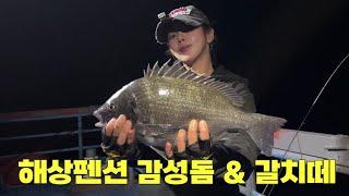 [낚시] 감성돔 마릿수 & 갈치 떼 나오는 해상펜션 / fishing