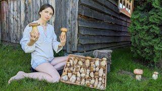 Magic surprise! Picking porcini mushrooms in the village garden! Cooking amazing lunch