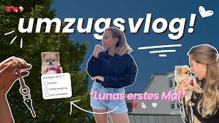 UMZUGSVLOG‍: Erstes Mal für Luna, Wände streichen, neue Stadt, neues Kapitel..