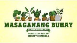 MASAGANANG BUHAY | NOVEMBER 10, 2024