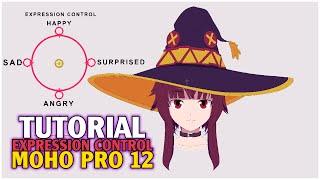 TUTORIAL EXPRESSION CONTROL | MOHO PRO 12