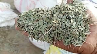 25 RS kg New Hari Patti Super Mal Pelastik Beg Peking Beniwal Bhai Nagaur Raj. 9252441755