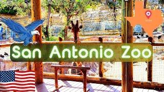 San Antonio Zoo Texas Full Tour 2024 4K 60FPS