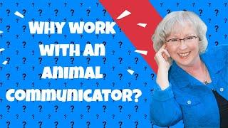 Val Heart Animal Talk - Why work with an Animal Communicator?