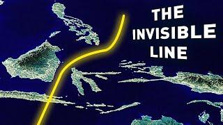 Animals Can't Cross This Invisible Line, and Here Is Why