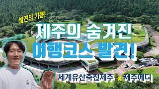 [세계유산축전 제주 X 제주에디] 발견의 기쁨! 제주의 숨겨진 여행코스 발견!