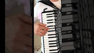 Самая вирусная песня года pedro pedro на баяне урок #accordion #аккордеон #music #shorts #video