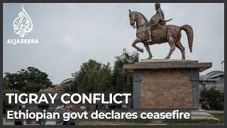 Ethiopia declares ceasefire as rebels retake Tigray capital