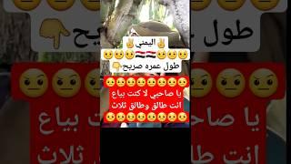 محتوى رائج اليمني دائماً صريح #اليمن #explore #خليل_السوري_شاعر_سبأ #إب