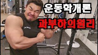 운동학개론 과부하원리