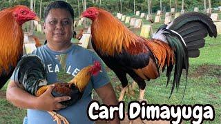 Mr. Carl Dimayuga AE FARM Silang Cavite