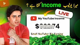 My YouTube Income  ( As a Small YouTuber )