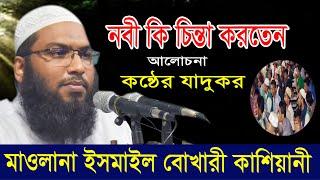 নবী কি চিন্তা করতেন মাওলানা ইসমাইল বুখারী  ওয়াজ Ismail Bukhari New Waz 2024