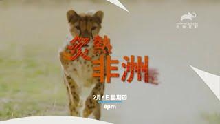 动物星球频道台湾台(Animal Planet Taiwan)《炙热非洲 全新系列》宣传片