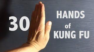 KungFu Styles Hand Techniques | 30 Fists   w Kungfunerd