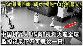 一句“跟我回家吧”，竟成功“拐跑”10台機器人？中國機器人“作案“現場視頻火遍全球！監視器記錄下不可思議一幕！