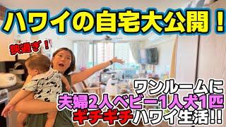 【狭過ぎ！】ハワイの自宅大公開！ワンルームに夫婦＆ベビー&犬1匹のギチギチハワイ生活！！の回！！