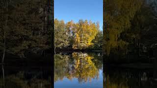 Autumn has come | nature walk Finland | natural beauty, lakeside walk