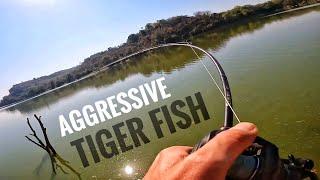 Fishing the Lake for Tiger Fish and Tilapia (Solo Mission)