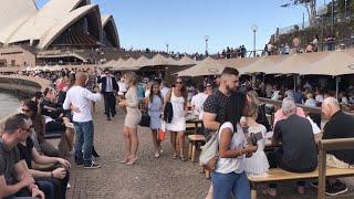 The Amazing Opera Bar in Sydney Harbor, Australia