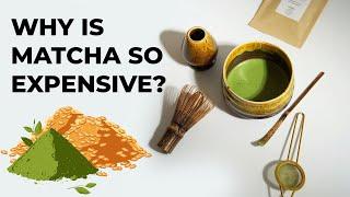 Why Matcha is So Expensive & How to Inspect its Quality