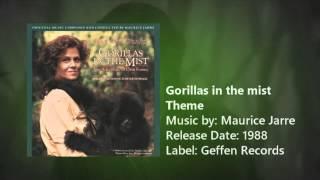 Gorillas in the mist • Theme