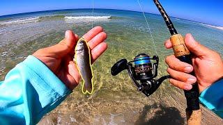 Surf Fishing with LIVE Minnows in CRYSTAL CLEAR Water