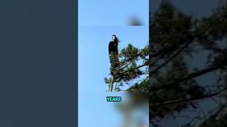 The Girl Who Lived in a Tree: Julia Hill’s 738-Day Stand for Nature.