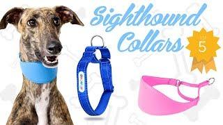 Best Whippet and Greyhound Collars (Sighthounds)