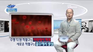 적혈구의 재발견 / YTN 사이언스