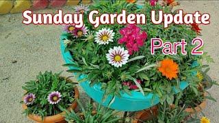 Sunday Garden Update - Part 2/Garden Tour/ Garden Knowledge Hub