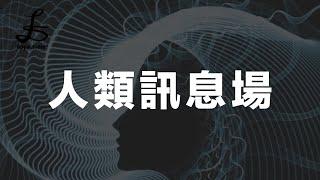 從工程角度理解人體｜訊息場的運用｜Apyramidra