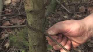 Bushcraft: How To Tie A Taut Tarp Hitch